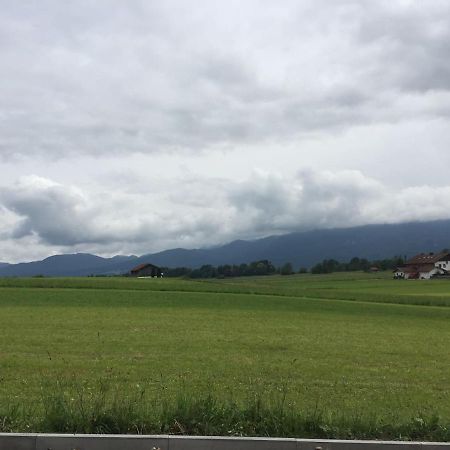 Studio Mit Alpenblick Grossweil Zewnętrze zdjęcie